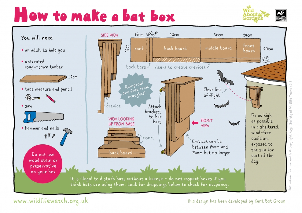 Build A Home For Wildlife Somerset Wildlife Trust build-a-bat-house-plans